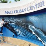 Aquarium moves closer to opening humpback whale exhibit